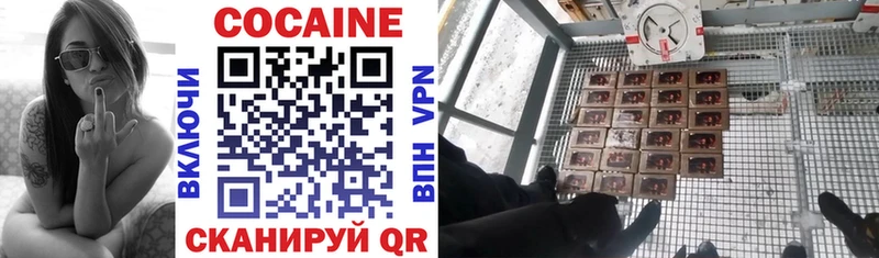 Купить закладки  Ивдель  Cocaine Колумбийский 