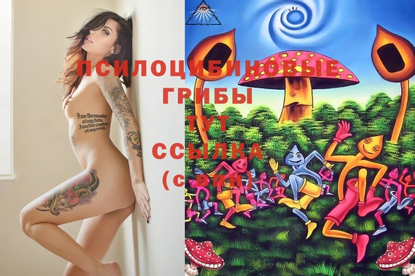 MDMA Premium VHQ Инсар
